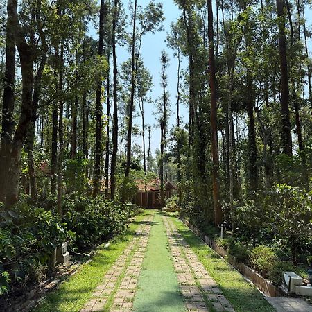 Coffee Grove Resort Chikmagalūr エクステリア 写真