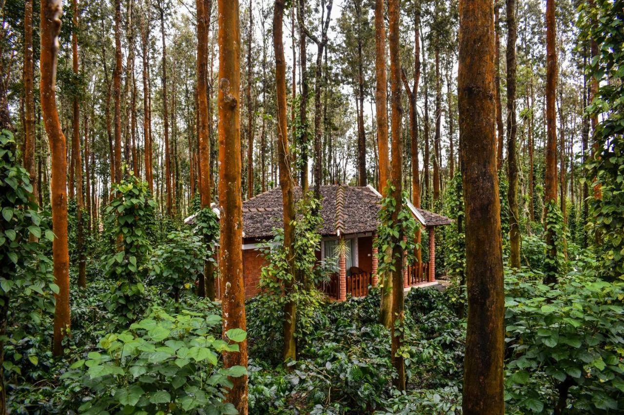Coffee Grove Resort Chikmagalūr エクステリア 写真