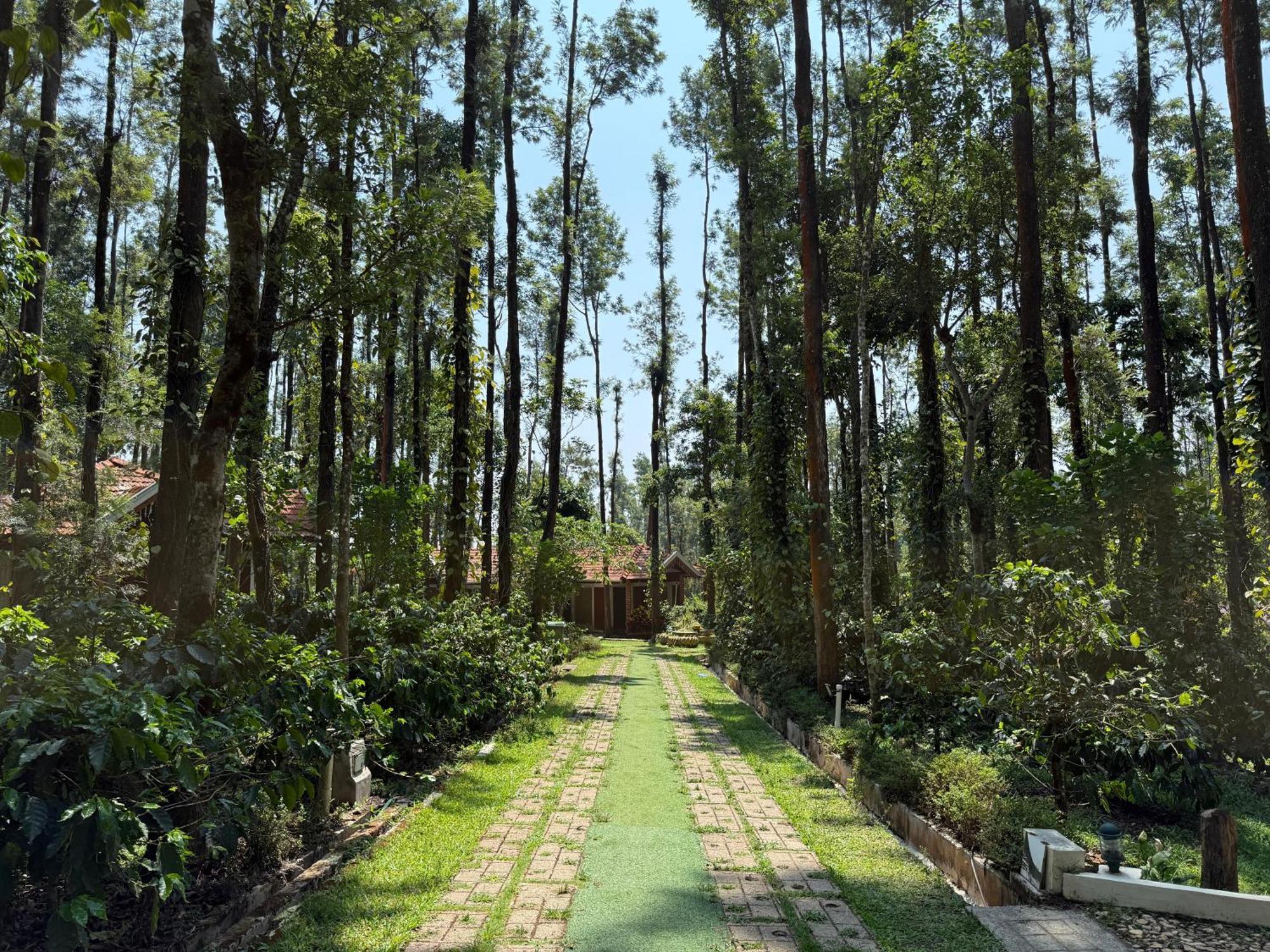 Coffee Grove Resort Chikmagalūr エクステリア 写真