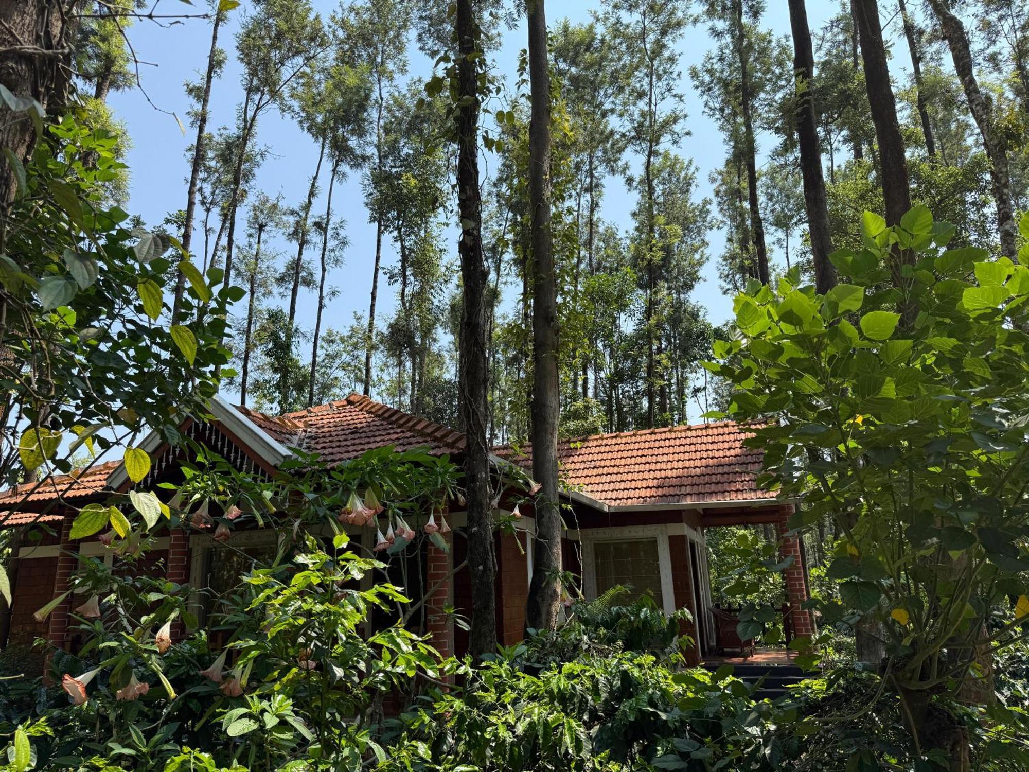 Coffee Grove Resort Chikmagalūr エクステリア 写真