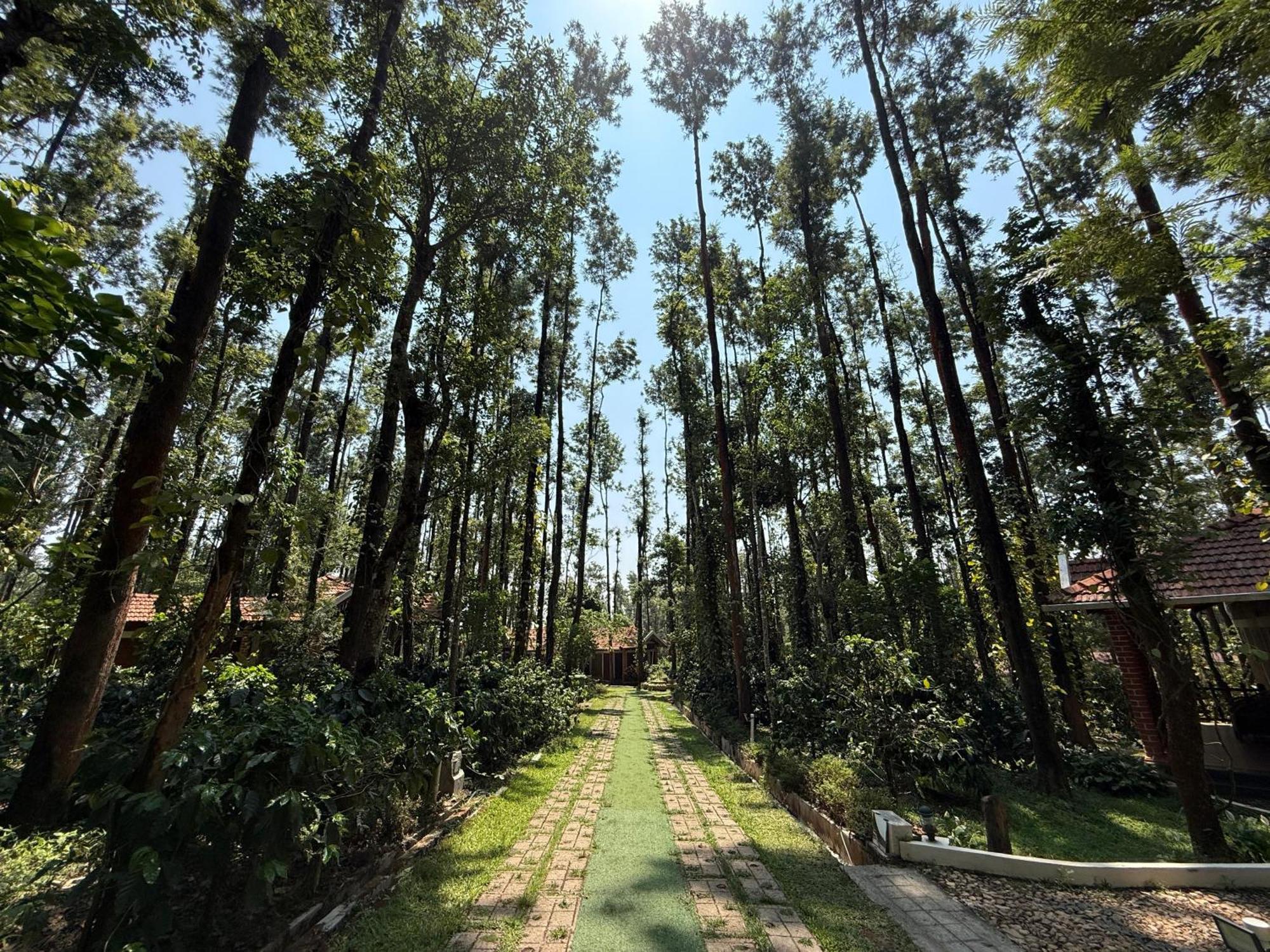 Coffee Grove Resort Chikmagalūr エクステリア 写真