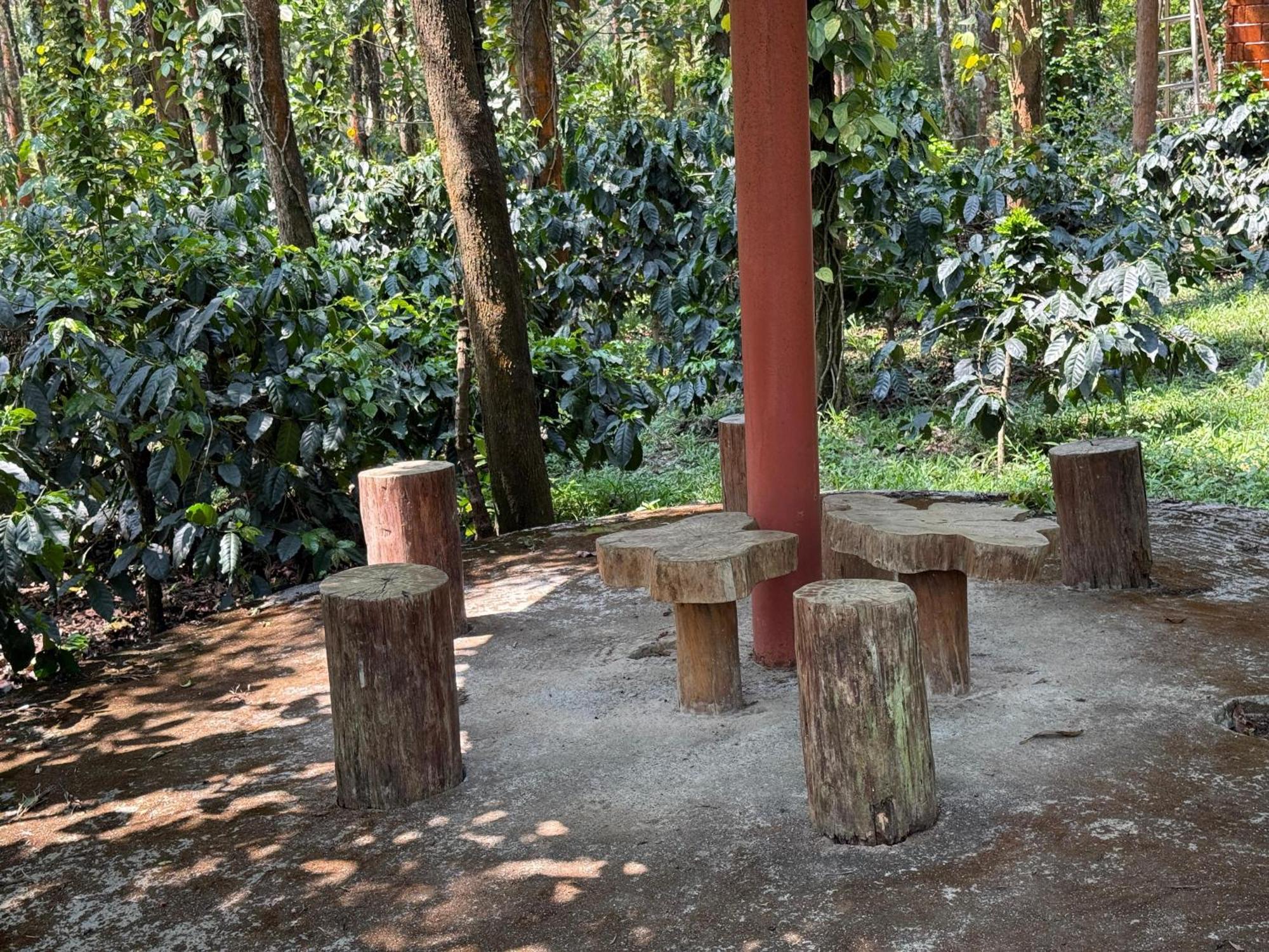 Coffee Grove Resort Chikmagalūr エクステリア 写真