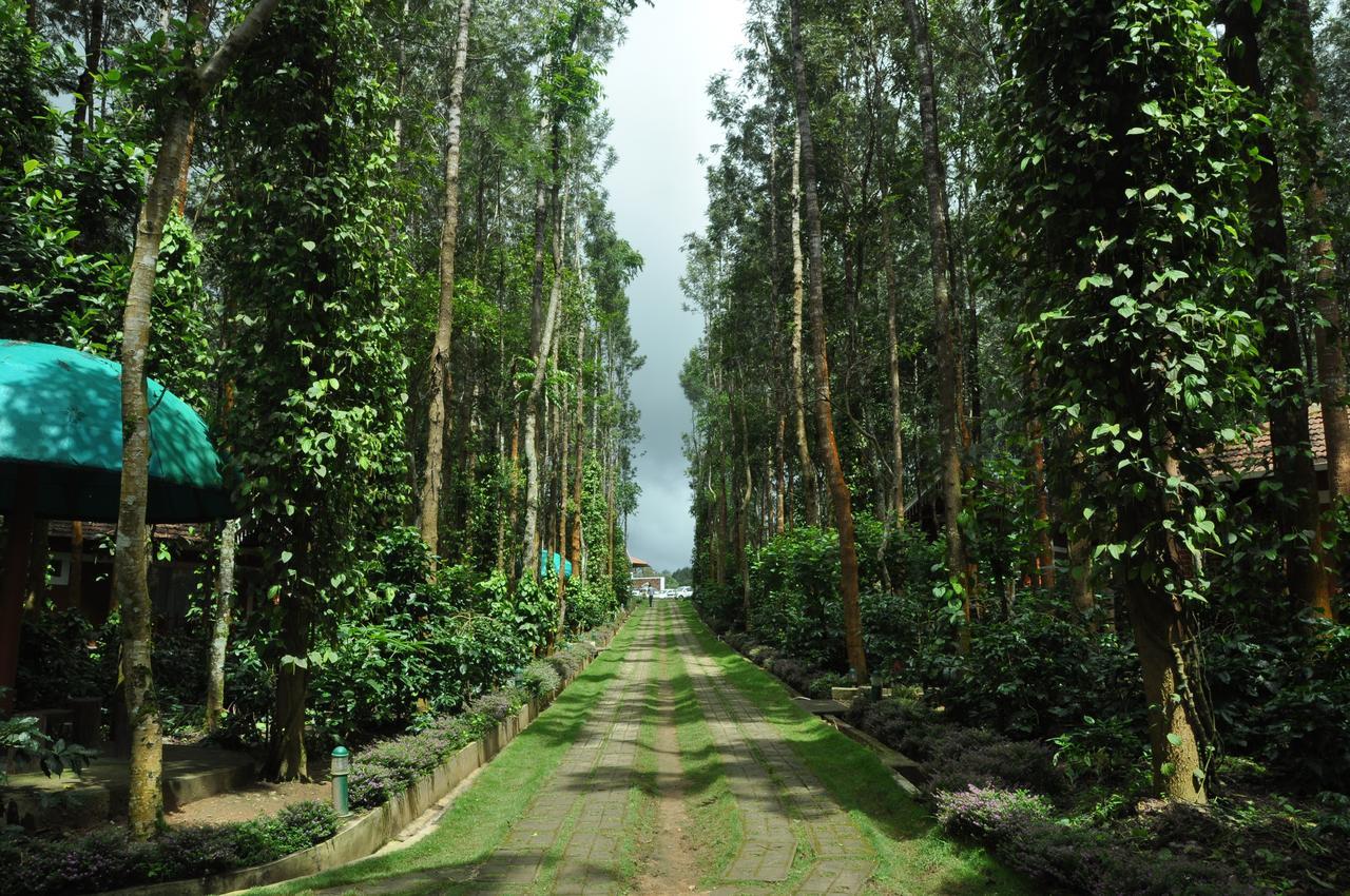 Coffee Grove Resort Chikmagalūr エクステリア 写真
